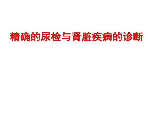 精确的尿检与肾脏疾病的诊断