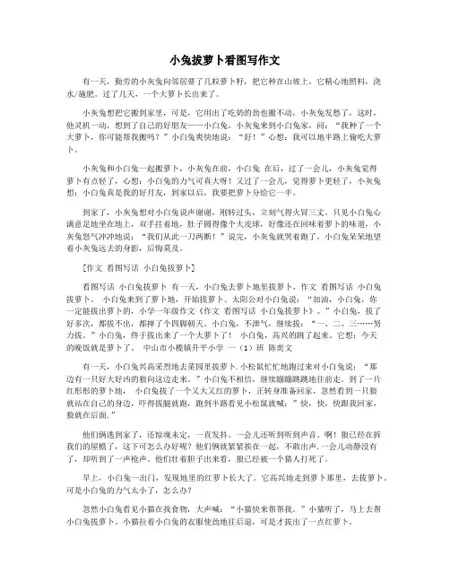 小兔拔萝卜看图写作文