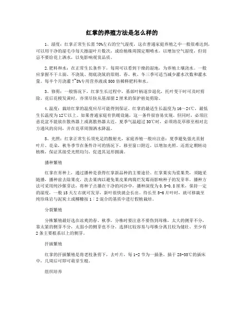 红掌的养殖方法是怎么样的