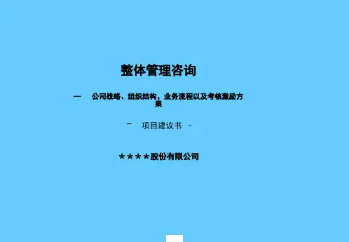 项目建议书标准模板(ppt 17页)