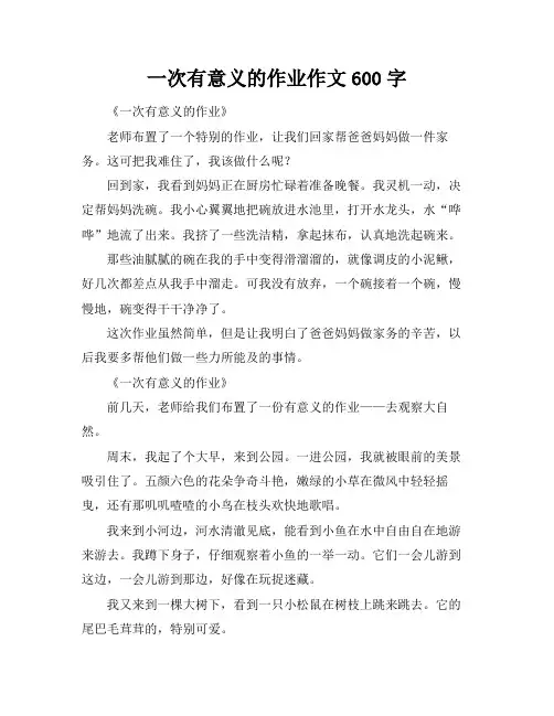一次有意义的作业作文600字