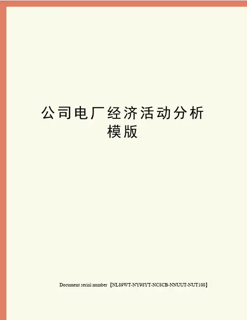 公司电厂经济活动分析模版