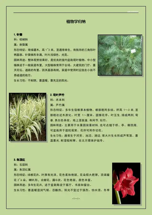 50种植物配图介绍