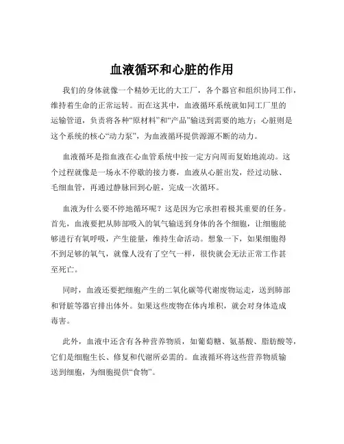 血液循环和心脏的作用