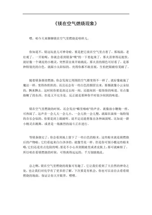 镁在空气燃烧现象