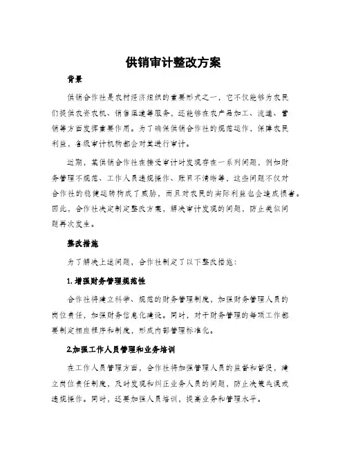 供销审计整改方案