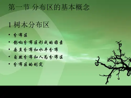 我国主要森林树种选介课件
