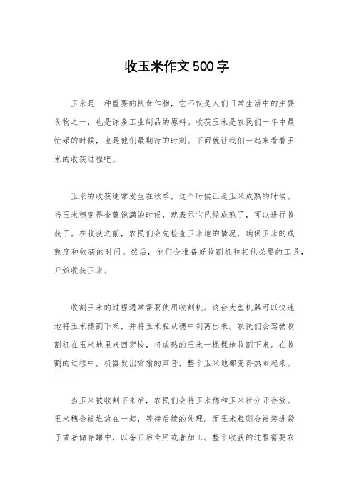 收玉米作文500字