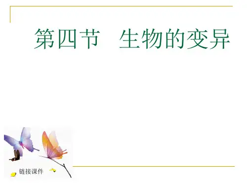 济南版八年级上册生物课件 第四章第四节生物的变异
