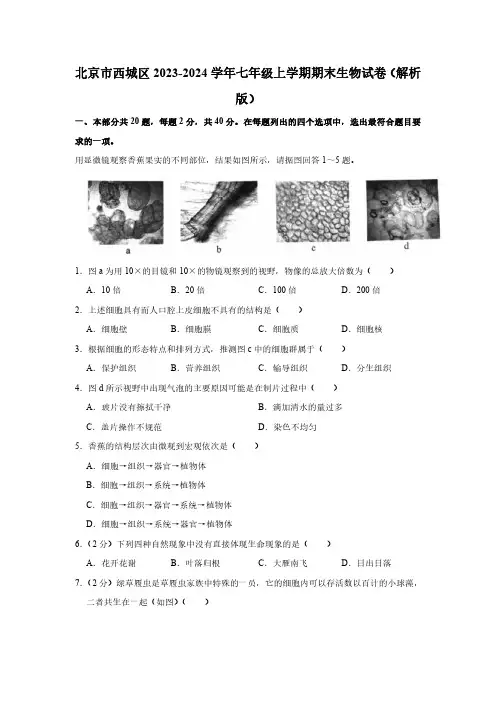 2023-2024学年北京市西城区七年级上学期期末考试生物试卷含答案