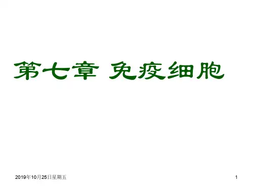 免疫细胞课件