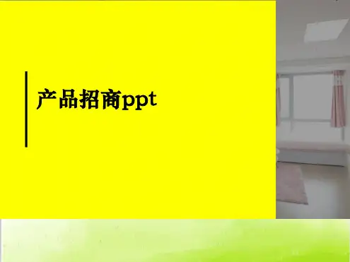 产品招商ppt
