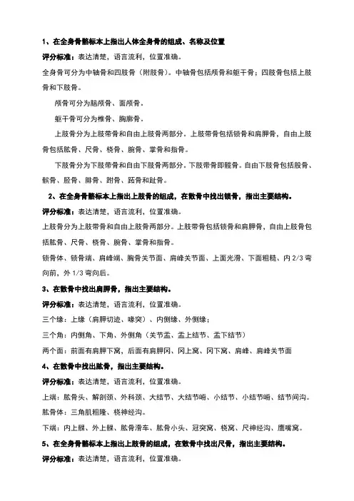运动解剖学(1)实验考核复习题和参考答案