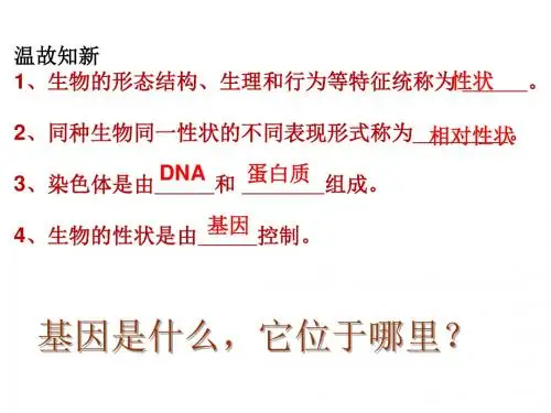 人教版生物八年级下册7.2.2基因在亲子间的传递 课件 (共32张PPT)