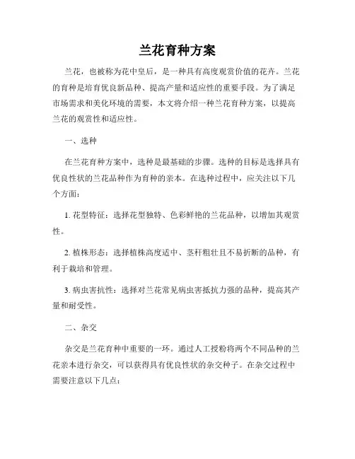 兰花育种方案
