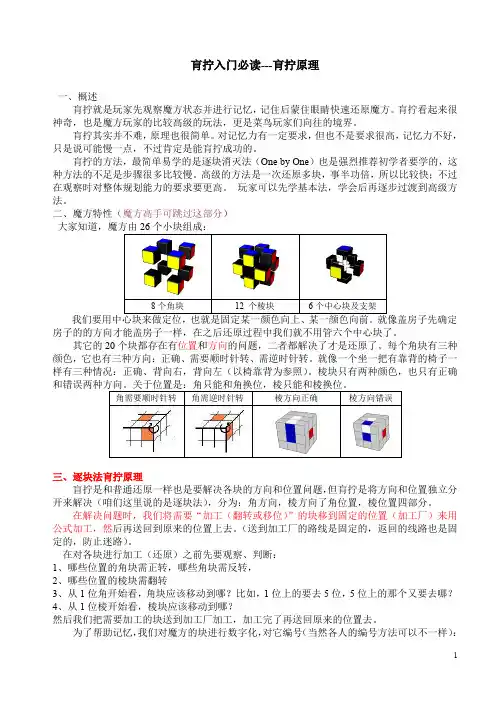 (魔方)肓拧原理-入门必读