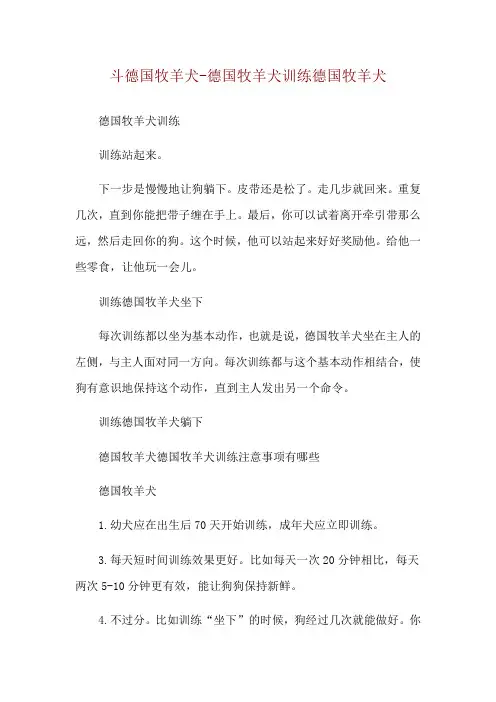 斗德国牧羊犬-德国牧羊犬训练德国牧羊犬