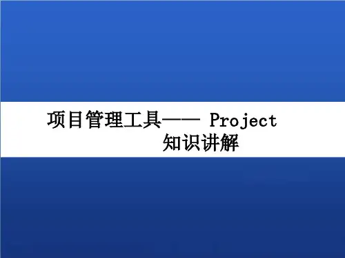 Project详细教程