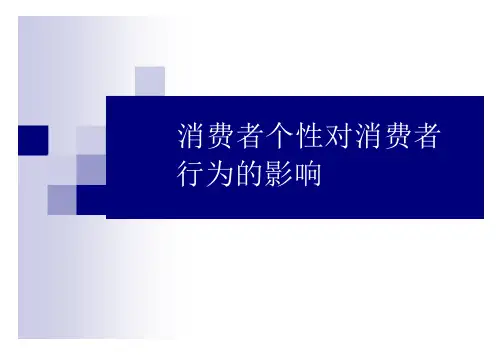 消费者个性对消费
