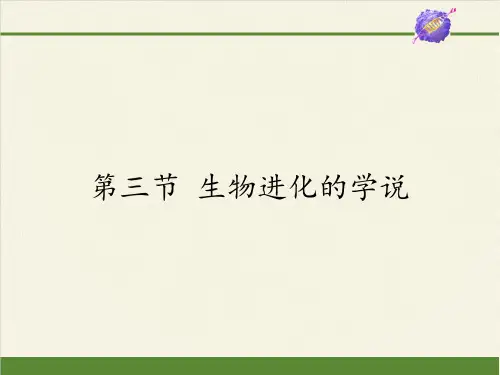 苏教版八年级生物上册 16.3  生物进化的学说  课件(共15张PPT) (1)