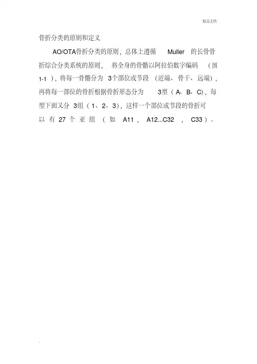 骨折分型图示