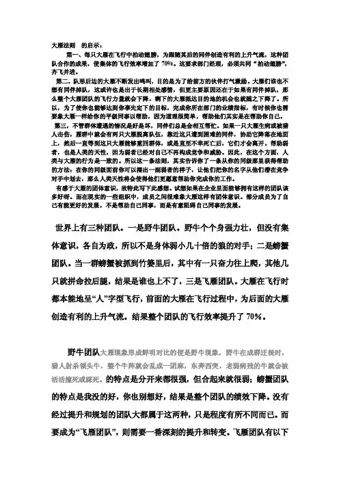 大雁法则的启示