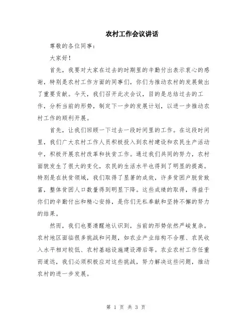 农村工作会议讲话