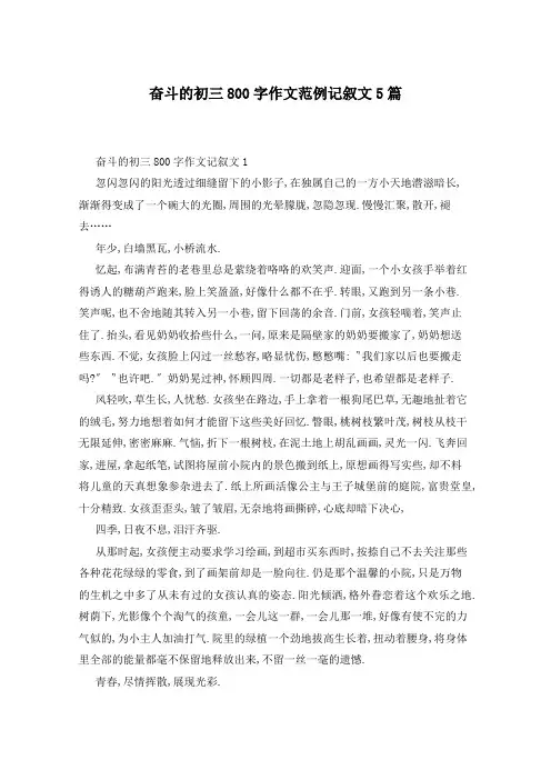 奋斗的初三800字作文范例记叙文5篇