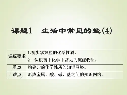 11-1盐的化学性质第2课时-2021-2022学年九年级化学人教版下册