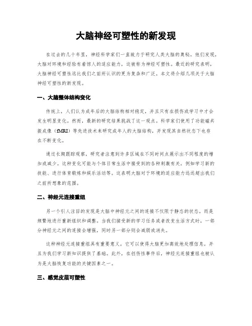 大脑神经可塑性的新发现