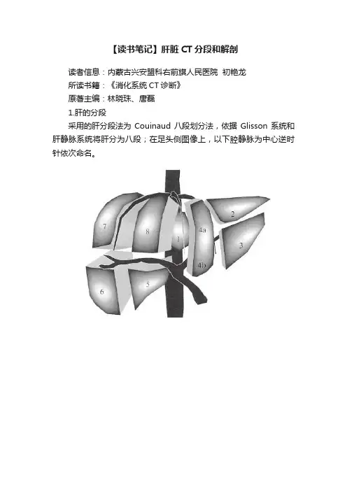 【读书笔记】肝脏CT分段和解剖