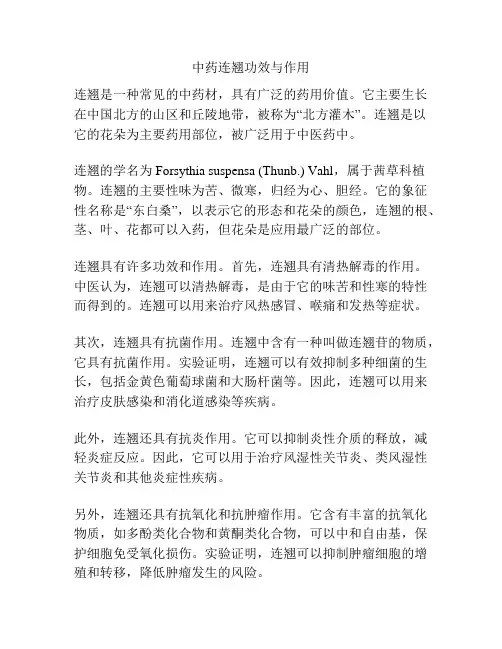 中药连翘功效与作用