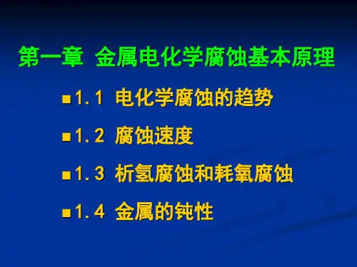 第一章 金属电化学腐蚀基本原理