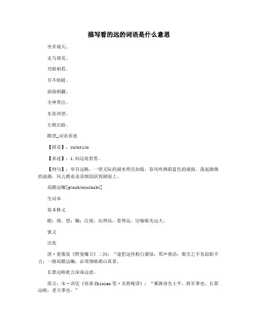 描写看的远的词语是什么意思