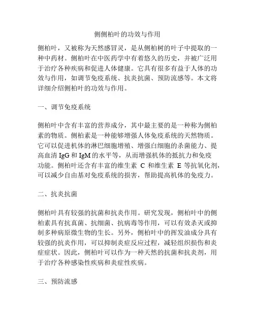 侧侧柏叶的功效与作用