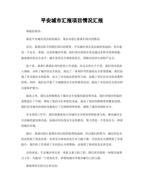 平安城市汇报项目情况汇报