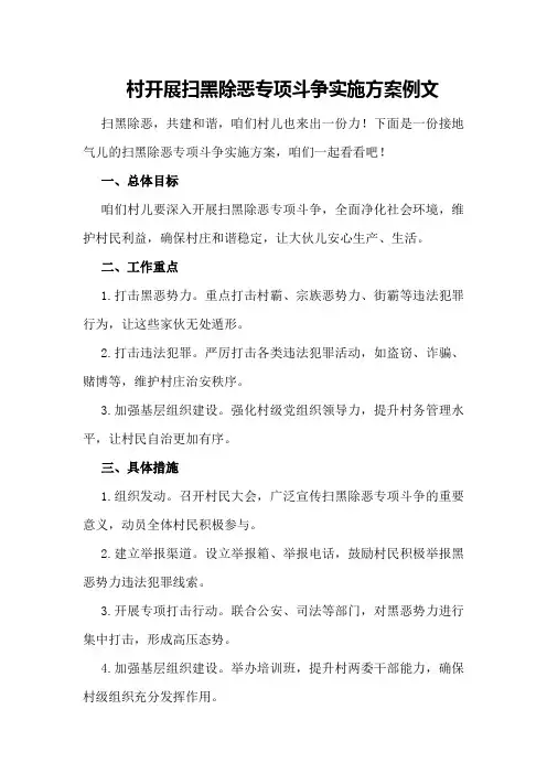 村开展扫黑除恶专项斗争实施方案例文