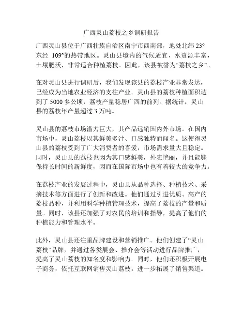 广西灵山荔枝之乡调研报告