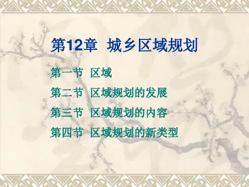 第12章 城乡区域规划(完整版)