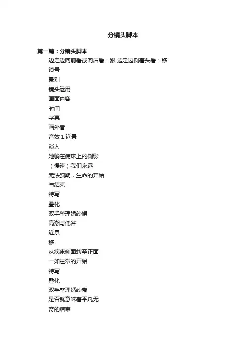 分镜头脚本