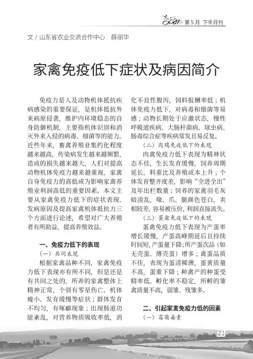 家禽免疫低下症状及病因简介
