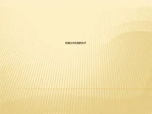 新疆玉米的施肥技术