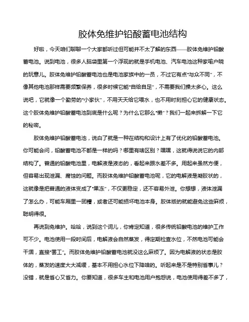 胶体免维护铅酸蓄电池结构