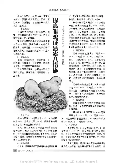 提高雏鸡成活率八措施
