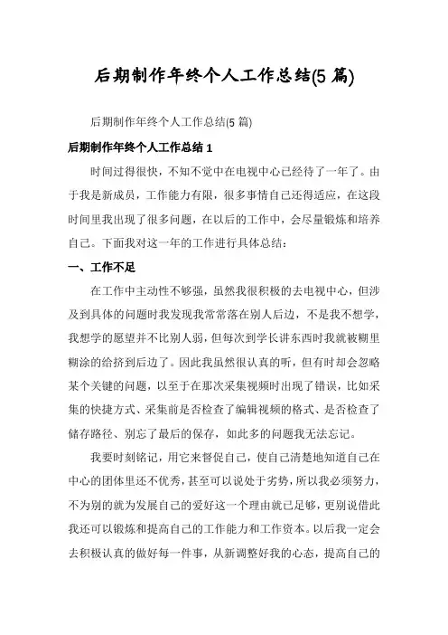 后期制作年终个人工作总结(5篇)