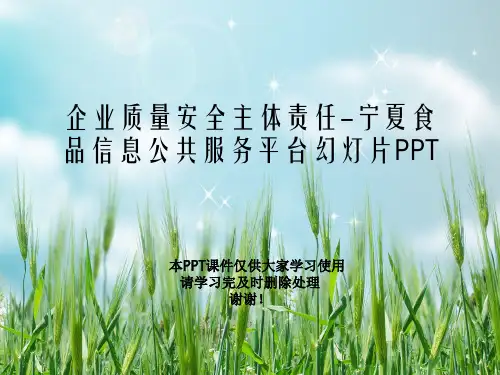 企业质量安全主体责任-宁夏食品信息公共服务平台幻灯片PPT