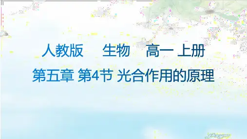光合作用的原理 高中生物必修一教学课件PPT 人教版