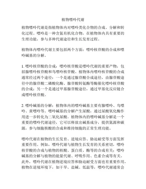 植物嘌呤代谢