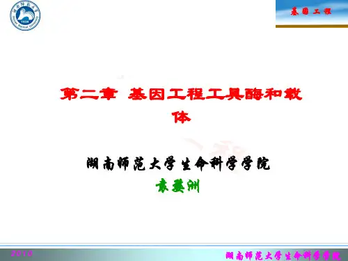 第二章--工具酶