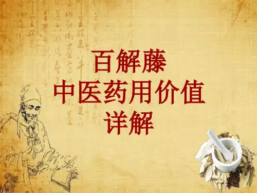 中药学_百解藤_药材详解课件模板